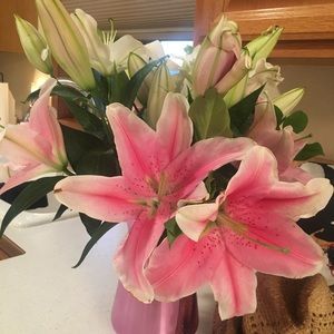 Meet your Posher, Leah